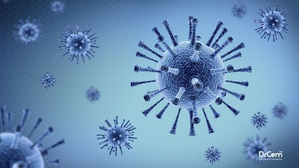 Viral Hastalıklar görseli - DrCem hastalık rehberi
